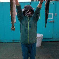 としまえんフィッシングエリア 釣果