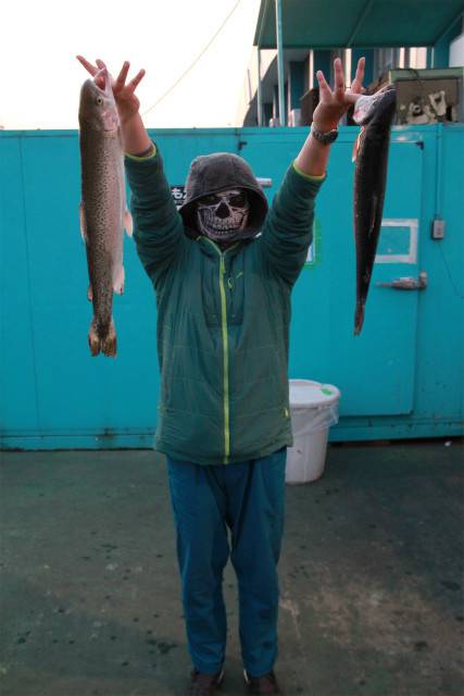 としまえんフィッシングエリア 釣果