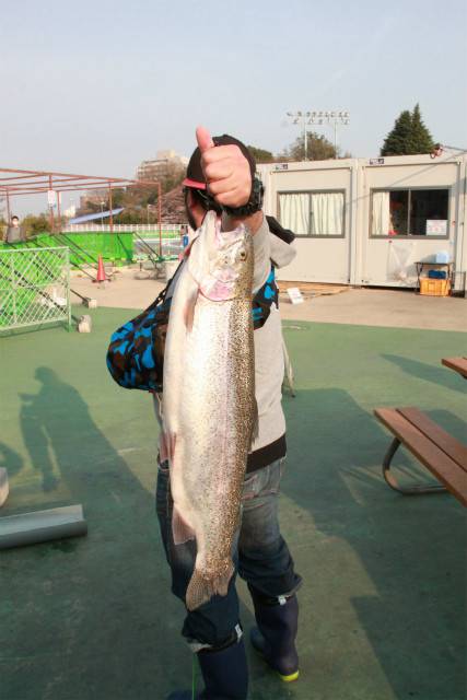 としまえんフィッシングエリア 釣果