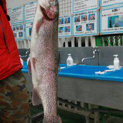 としまえんフィッシングエリア 釣果