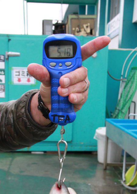 としまえんフィッシングエリア 釣果