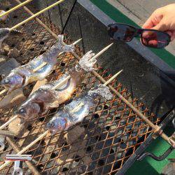 としまえんフィッシングエリア 釣果