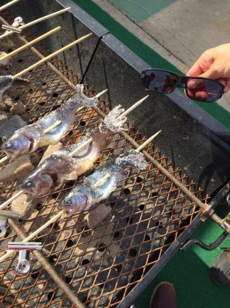 としまえんフィッシングエリア 釣果