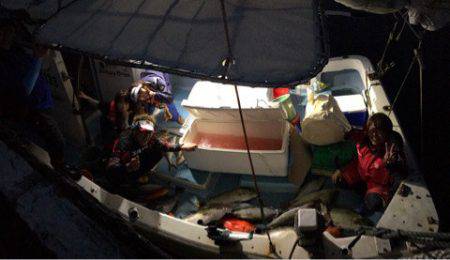 シーランチ 釣果