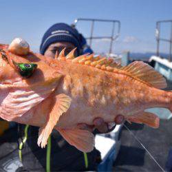 渡船屋たにぐち 釣果