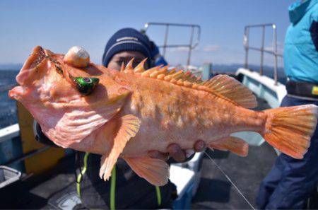 渡船屋たにぐち 釣果