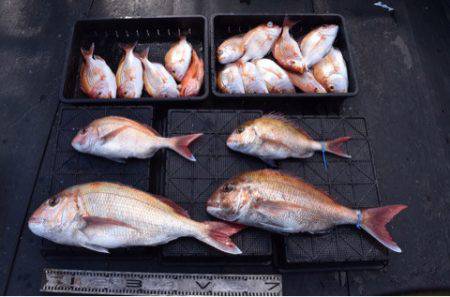 渡船屋たにぐち 釣果