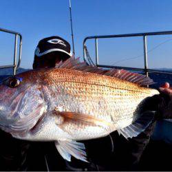 渡船屋たにぐち 釣果