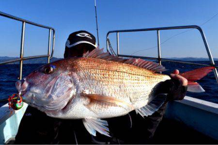 渡船屋たにぐち 釣果