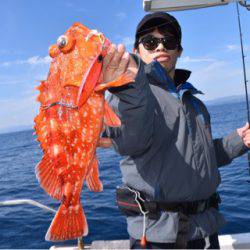 渡船屋たにぐち 釣果