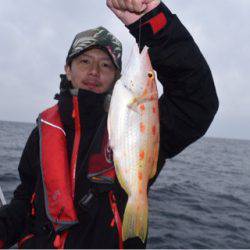 渡船屋たにぐち 釣果