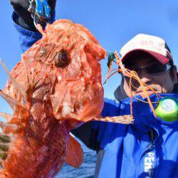 渡船屋たにぐち 釣果