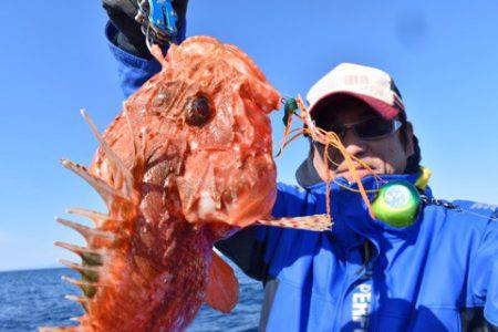 渡船屋たにぐち 釣果