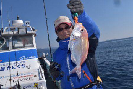 渡船屋たにぐち 釣果
