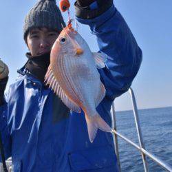 渡船屋たにぐち 釣果