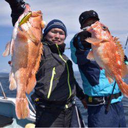 渡船屋たにぐち 釣果
