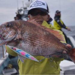 渡船屋たにぐち 釣果