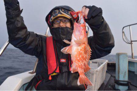 渡船屋たにぐち 釣果