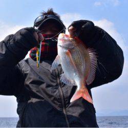 渡船屋たにぐち 釣果