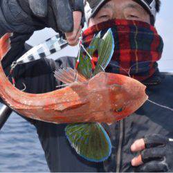 渡船屋たにぐち 釣果