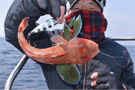 渡船屋たにぐち 釣果