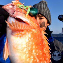渡船屋たにぐち 釣果