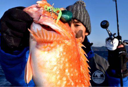 渡船屋たにぐち 釣果