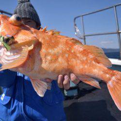 渡船屋たにぐち 釣果