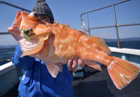渡船屋たにぐち 釣果