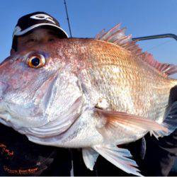 渡船屋たにぐち 釣果