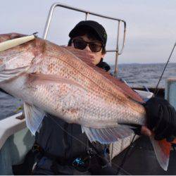 渡船屋たにぐち 釣果