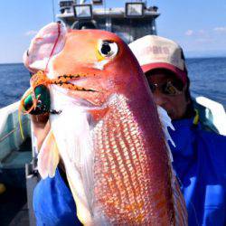 渡船屋たにぐち 釣果
