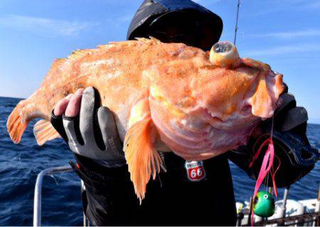 渡船屋たにぐち 釣果