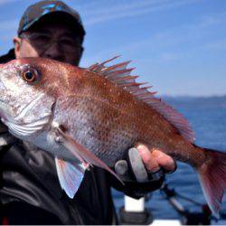 渡船屋たにぐち 釣果