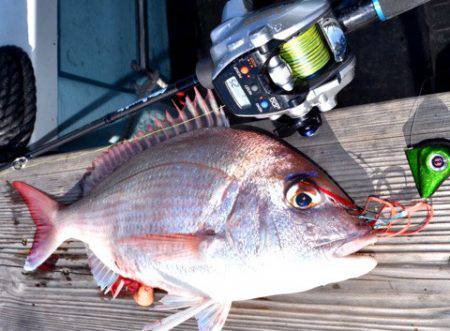 渡船屋たにぐち 釣果