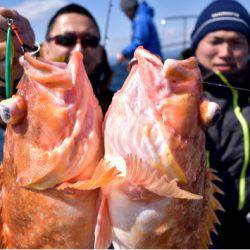 渡船屋たにぐち 釣果