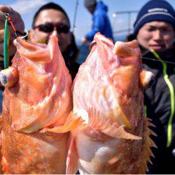 渡船屋たにぐち 釣果