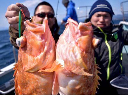 渡船屋たにぐち 釣果