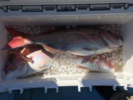 第二八坂丸 釣果