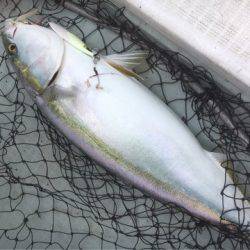 海楽隊 華栞丸 釣果