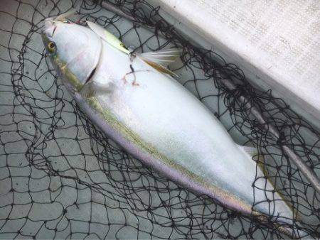 海楽隊 華栞丸 釣果