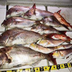 龍神丸（鹿児島） 釣果