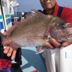 第二八坂丸 釣果