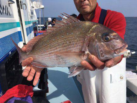 第二八坂丸 釣果