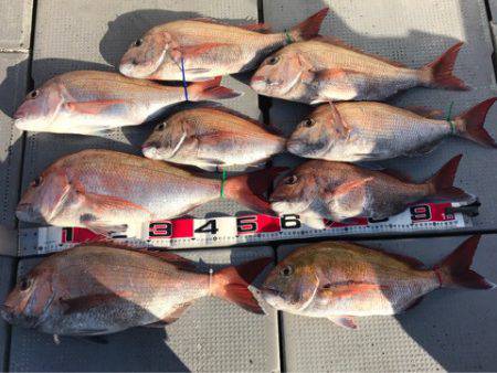 釣鯛洋 釣果