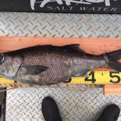 ＴＡＲＯＭＡＲＵ 釣果