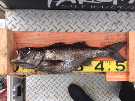 ＴＡＲＯＭＡＲＵ 釣果