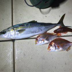 Monster Rush! 釣果