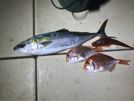 Monster Rush! 釣果