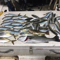 Monster Rush! 釣果